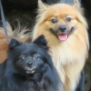 Meet your Posher, Christy jeff